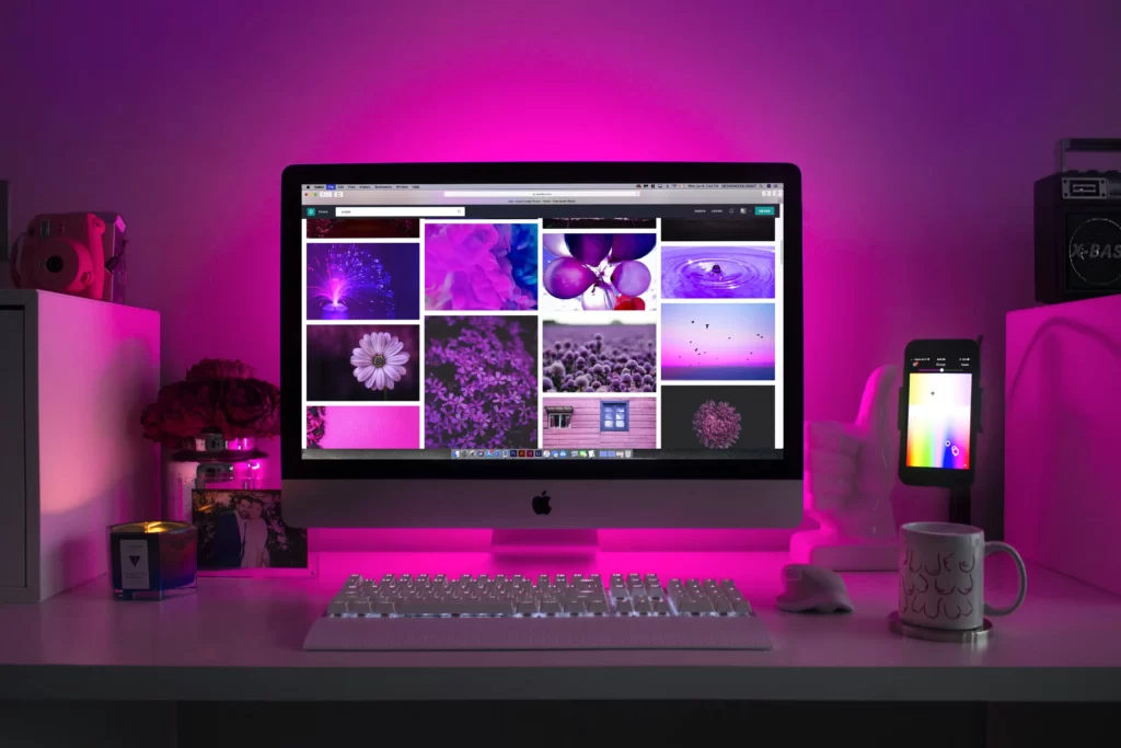 Essential Skills for Freelance Web Developers